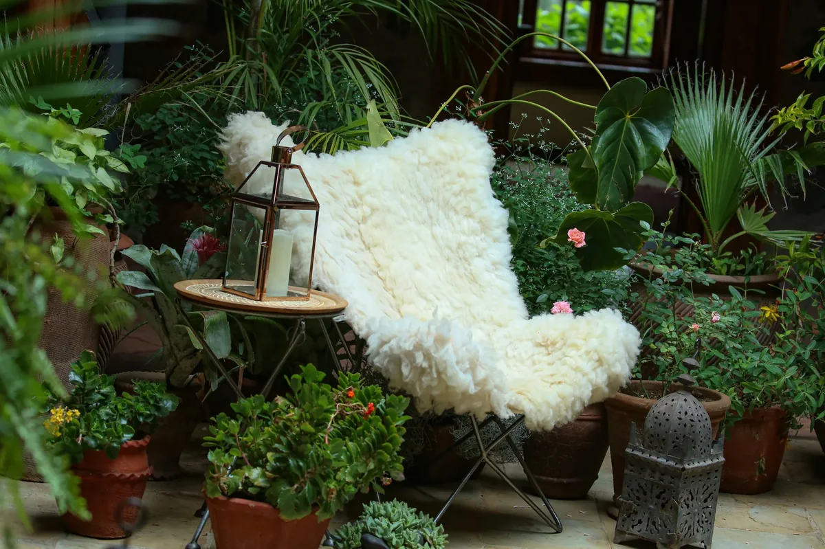 Blue Rhino Africa craft, furnishing