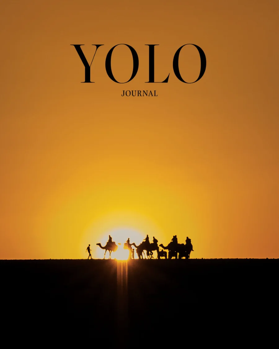 YOLO Journal, Spring Issue 21 cover