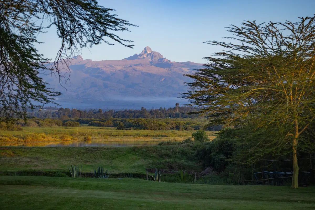 Mount Kenya from the manor